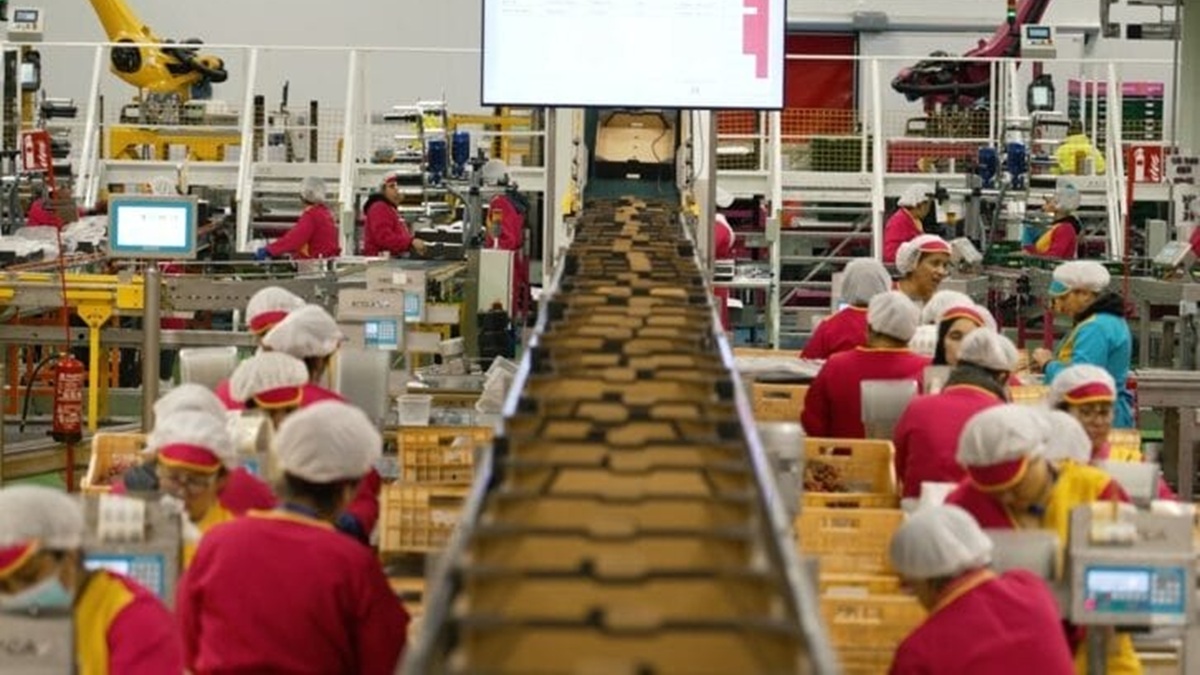 Moyca Grapes apuesta por la agroindustria 4.0 con ERPAgro de Hispatec.jpg